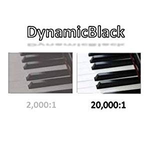 Dynamic Black