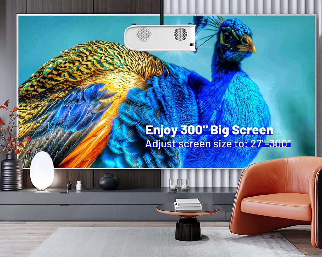 300 inch screen size