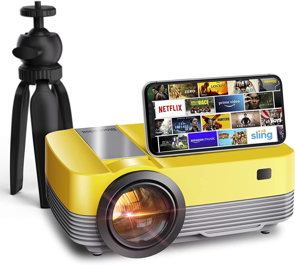 Bloomidea projector review